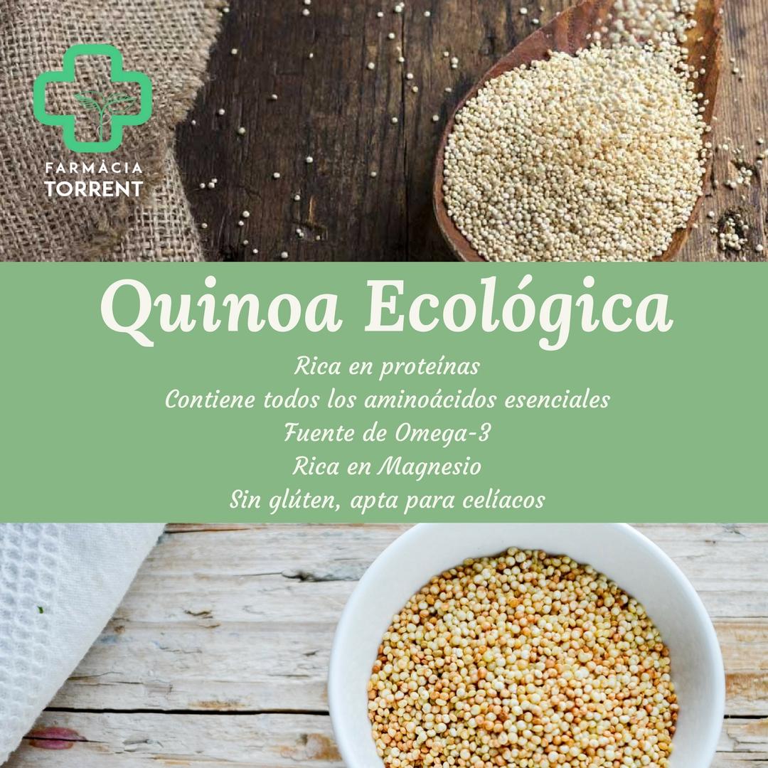 Quinoa ¿Por Qué Es Tan Saludable Comerla? | Nutrición