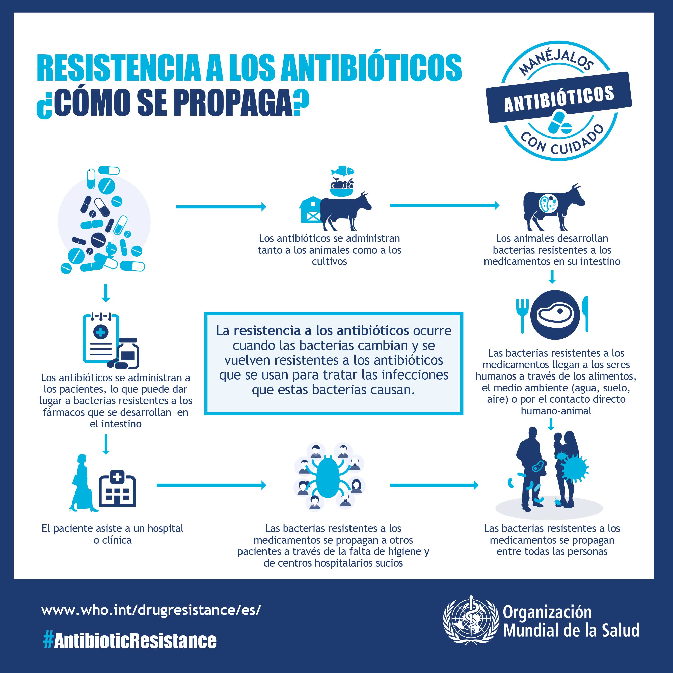 Resistencia A Los Antibióticos: Todo Lo Que Debes Saber