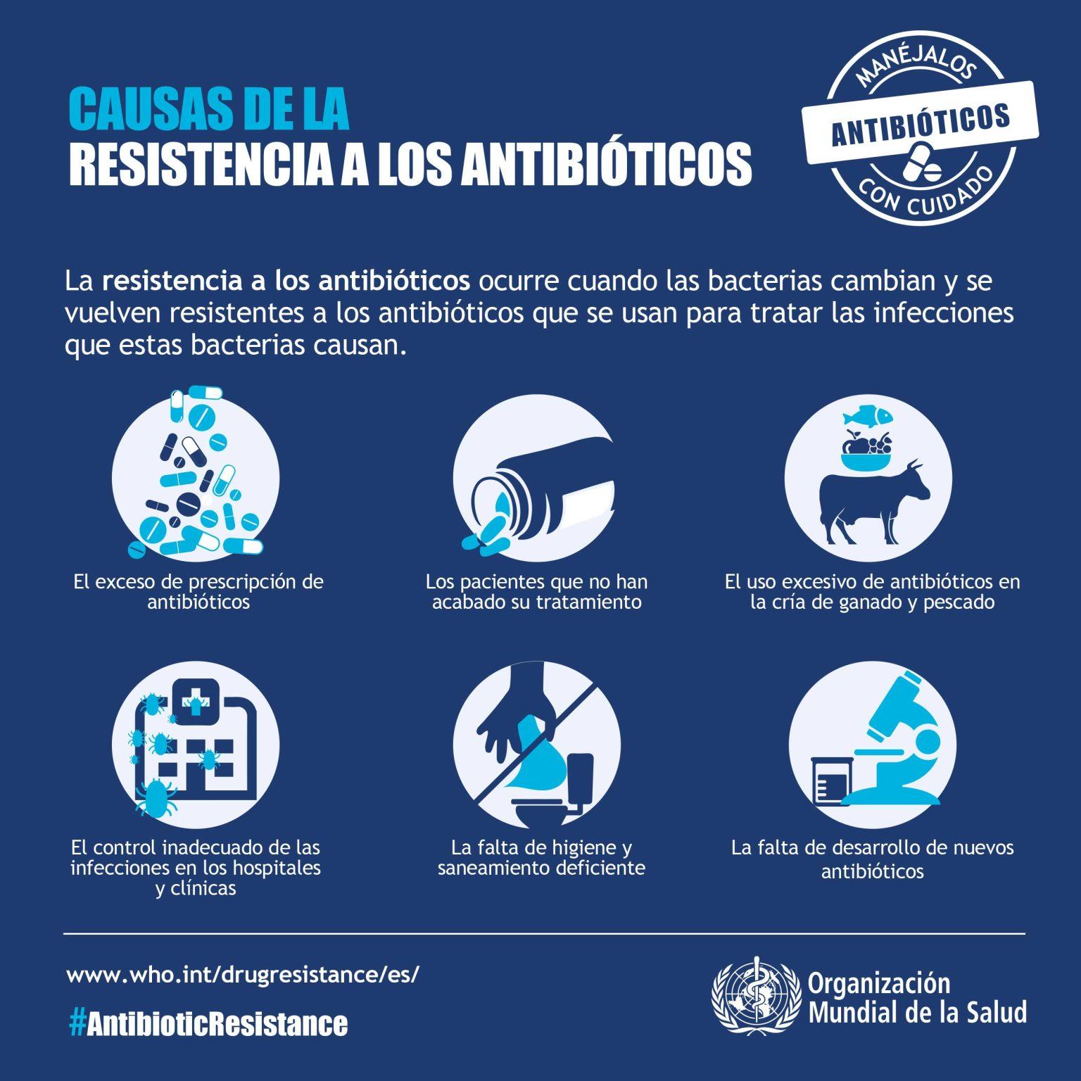 Resistencia A Los Antibióticos Todo Lo Que Debes Saber